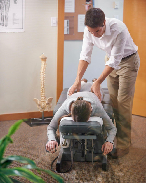 Evolve Chiropractic of Schaumburg;1501 Woodfield Rd Ste 117e, Schaumburg, IL 60173;(847) 648-4931;ht