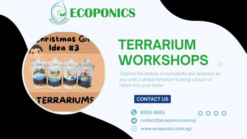 EcoPonics offers the best terrarium kits in Singapore which you can use to design on your own. You can buy from our wide range of terrarium plants and craft supplies from our online shop in Singapore. 
Website:https://www.ecoponics.com.sg/
Phone: 6553 5663
Address: 37 Jalan Pemimpin MAPEX #03-10 Singapore 577177
Business Email: contact@ecoponics.com.sg