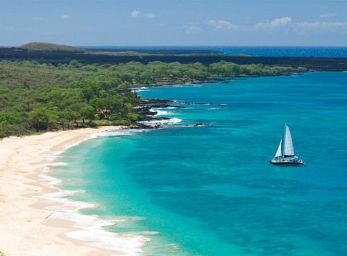 Sailing Tours in Maui Safe, Educational, and Exciting Ocean Trips for All Ages