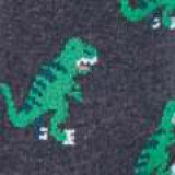 SOMRF001H3_MENS_DINOSAURIA_swatch