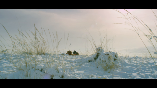 狼图腾Le Dernier loup Wolf Totem 2015 1080P 国语DTSHD5.1 900