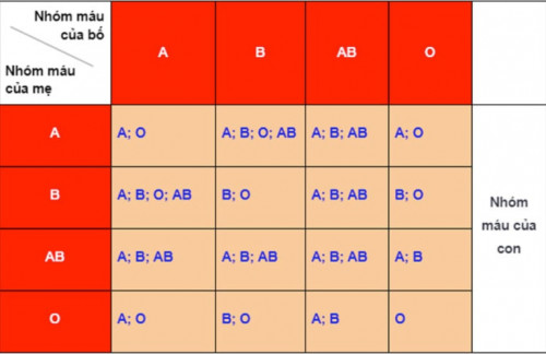 Anh em ruột có thể có cùng hoặc khác nhóm máu tùy thuộc vào sự kết hợp nhóm máu của bố và mẹ. Nhóm máu của con được quy định bởi các gen di truyền từ bố và mẹ.

Quy luật di truyền nhóm máu

Nhóm máu được xác định bởi sự có mặt hoặc không có các kháng nguyên A và B trên bề mặt hồng cầu. Có 4 nhóm máu chính: A, B, AB và O.

 Nhóm máu A: Có kháng nguyên A trên bề mặt hồng cầu.
 Nhóm máu B: Có kháng nguyên B trên bề mặt hồng cầu.
 Nhóm máu AB: Có cả kháng nguyên A và B trên bề mặt hồng cầu.
 Nhóm máu O: Không có kháng nguyên A hoặc B trên bề mặt hồng cầu.

Các gen quy định nhóm máu là gen trội và lặn. Gen A và B là gen trội, trong khi gen O là gen lặn.

Sự kết hợp nhóm máu của bố và mẹ

Nhóm máu của con được xác định bởi sự kết hợp nhóm máu của bố và mẹ. Dưới đây là bảng tóm tắt sự kết hợp nhóm máu của bố và mẹ và nhóm máu có thể có của con:
(Xem chi tiết tại đường link bài viết gốc)

Ví dụ:

 Nếu bố có nhóm máu A và mẹ có nhóm máu B, thì con của họ có thể có nhóm máu A, B, AB hoặc O.
 Nếu bố có nhóm máu O và mẹ có nhóm máu AB, thì con của họ không thể có nhóm máu AB.

Kết luận:

Anh em ruột có thể có cùng hoặc khác nhóm máu tùy thuộc vào sự kết hợp nhóm máu của bố và mẹ. Các gen quy định nhóm máu là gen trội và lặn, và sự kết hợp các gen này sẽ xác định nhóm máu của con.
Các trường hợp ngoại lệ

Mời bạn nhấp vào đường link dưới đây để đọc bài viết gốc từ website của chúng tôi và đọc thêm nhiều bài viết hữu ích khác.

Link: https://genplus.vn/anh-em-ruot-co-cung-nhom-mau-khong/ 

Bài viết khác:
https://twitter.com/Genplus_vn/status/1764965048429277644
https://controlc.com/8db79161
https://www.notebook.ai/documents/247723
https://www.hahalolo.com/post/65f1160e718902627de08fcb
https://wakelet.com/wake/TzOfqAGbZzQNGkfVtZ77S
https://online.pubhtml5.com/faqb/qgsu/
https://www.slideshare.net/slideshows/hng-dn-xc-nh-quan-h-huyt-thng-theo-nhm-mu-2b5b/266843803