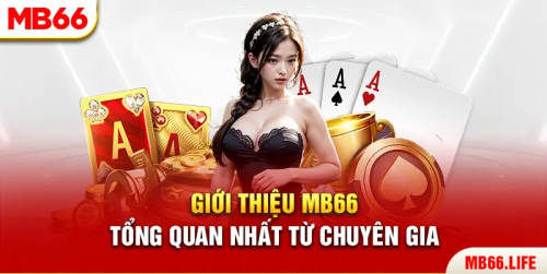 Trai nghiem the thao MB66 - Choi cuc da, kiem tien moi tay.
Sảnh thể thao MB66 đang chiếm sóng trên nhiều bảng xếp hạng sân chơi đáng để tham gia nhất hiện nay. Đây là sản phẩm được nhà cái MB66 đầu tư vô cùng tâm huyết. Vậy chuyên mục này có gì hấp dẫn mà khiến nhiều anh em hào hứng đến vậy? Đi vào bài này để giải mã xem điều gì khiến sảnh chơi game này cuốn hút thế nhé!
#MB66Life#mb66life#MB66