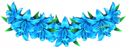 L modrá lilie sp