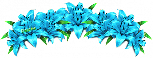L modrá lilie vr