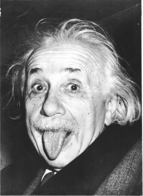 アインシュタインですの画像