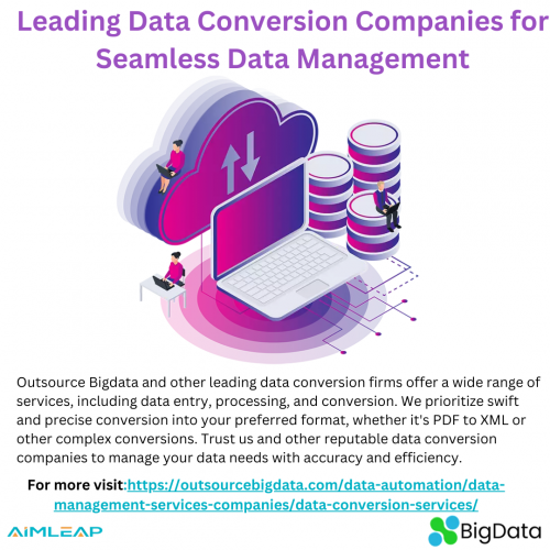 Data Conversion Companies