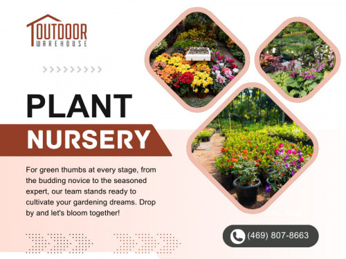 Our Plant Nursery aims to make your gardening experience as convenient as possible. With our wide selection of products and accessories, you can find everything you need in one place. 
Whether you're a seasoned gardener or just starting out, we have the tools, fertilizers, and other essentials to help you achieve success. 

Official Website : https://www.outdoorwarehousesupply.com/

Click here for more Information: https://www.outdoorwarehousesupply.com/river-rock-sand-gravel-dallas/

Outdoor Warehouse Supply
Address: 2791 S Stemmons Fwy, Lewisville, TX 75067, United States
Phone: +14698078663

Find us on Google Maps: https://maps.app.goo.gl/XRSMX8hjBR1CMTcF8

Our Profile: https://gifyu.com/outdoorwarehouse

More Images:
https://rcut.in/tM60UR07
https://rcut.in/WVJcvpX7
https://rcut.in/Rhnt6vgW
https://rcut.in/hGkzRDdk
https://rcut.in/D9ehexTr