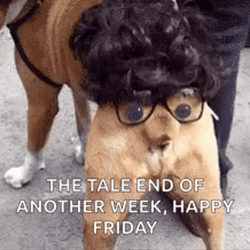 happy friday tail end of week