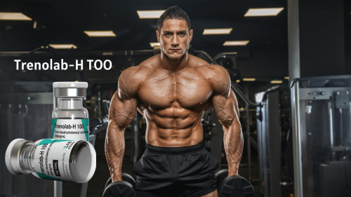 Trenbolone does not have the same estrogen-related negative effects as popular bulking medications like Dianabol or Testosterone; it nonetheless has a similar muscle-building impact. It is most frequently known as a lean-mass-building medication, and athletes love it for its potential to help them quickly gain strength, size, and definition in their muscles. For these reasons, Trenolab-H 100 for sale USA has become a decent athlete choice.