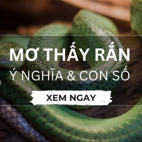 Giải mã giấc mơ đã lâu trở thành chủ đề mà các bạn trong cộng đồng đánh lô quan tâm, nghiên cứu và phân tích. Trải qua đó, chúng ta có thể nhận ra nhiều thông điệp khác nhau và thậm chí là các con số may mắn có thể dùng để tham gia cá cược với hy vọng giành được nhiều phần thưởng hấp dẫn hơn. Hãy cùng khám phá thông tin thú vị này tại 69vn dưới đây.
Khám phá về giải mã giấc mơ
Mỗi khi chúng ta lắng nghe về việc giải mã giấc mơ, đó cũng là lúc chúng ta khám phá những trải nghiệm hoặc tưởng tượng trong giấc ngủ của mình. Giấc mơ không chỉ là những hình ảnh tuyệt vời mà còn có thể đưa ra những cảnh báo đầy bí ẩn. Mỗi hình ảnh trong giấc mơ đều là một câu chuyện riêng mà không phải ai cũng có thể hiểu rõ.

Giới thiệu về thông tin hấp dẫn liên quan đến giải mã giấc mơ
Một số người tin rằng giấc mơ chỉ xuất hiện khi cơ thể quá mệt mỏi, khi chúng ta không còn ý thức về thế giới xung quanh. Trong những giấc mơ đó, có khi chúng ta chỉ nhìn thấy những điều không đáng chú ý hoặc gặp phải những lo lắng. Tuy nhiên, ít người biết rằng giấc mơ mang theo ý nghĩa của chúng. Chúng có thể là dấu hiệu về quá khứ, tương lai và hiện tại, hoặc đơn giản chỉ là sự nhắc nhở.
Tổng hợp giải mã giấc mơ tại 69vn
Mọi người đều có những giấc mơ từ khi còn nhỏ cho đến khi trưởng thành, nhưng không phải ai cũng hiểu rõ ý nghĩa cụ thể hoặc cách giải mã chúng. Đó là lý do tại sao chúng ta cần tìm kiếm những nguồn thông tin đáng tin cậy. Quan trọng nhất là ghi nhớ những chi tiết quan trọng trong giấc mơ của chính mình, và sau đó truy cập vào 69vn để tìm hiểu thêm. Dưới đây là một ví dụ về giải mã mà trang web này cung cấp.
Xem thêm: https://69vnd.net/giai-ma-giac-mo/