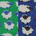 Sheep_KM010_X2_SWATCH.jpg