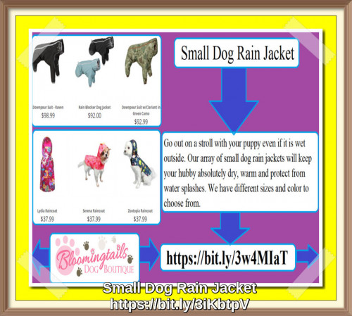 Our array of small dog rain jackets will keep your hubby absolutely dry, warm and protect from water splashes. We have different sizes and color to choose from. https://bit.ly/3GLujoq