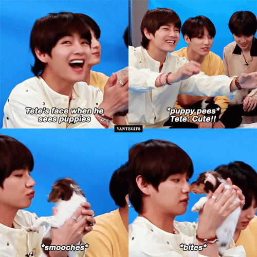 Taehyung-Buzzfeed-Puppy.gif