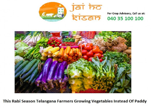 This-Rabi-Season-Telangana-Farmers-Growing-Vegetables-Instead-Of-Paddy.jpg