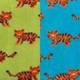 Tigers_KS014_X2_SWATCH