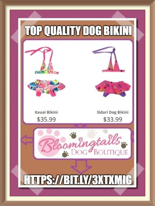 Find the perfect size and color for your pooch and let them be the sunshine of your quality time on beach.   https://bit.ly/3iEi8BS