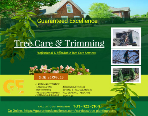 Whether you have moved to a new house or you want to expand your tree collection in your yard, we provide the best tree services in Denver that include complete tree planting and care. Right from tree pruning to tree trimming in Denver, we do it all at Guaranteed Excellence.
Visit: 
https://guaranteedexcellence.com/services/tree-planting-care/