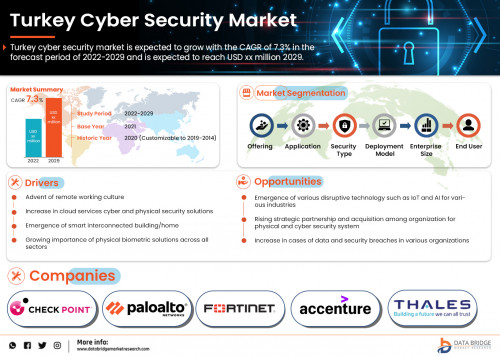 Turkey-Cyber-Security-Market.jpg