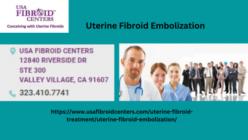 Uterine-Fibroid-Embolization-2.png