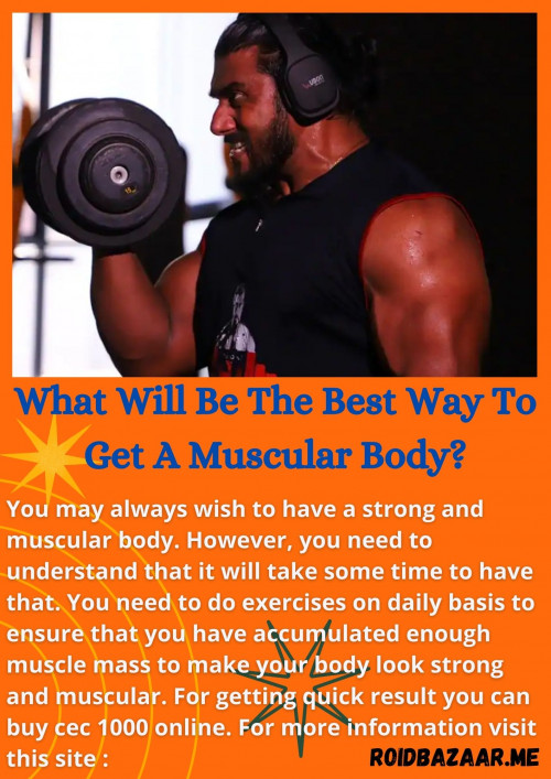 What Will Be The Best Way To Get A Muscular Body? Gifyu