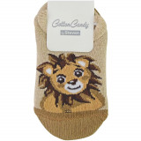 Z-134-Lion-Beige