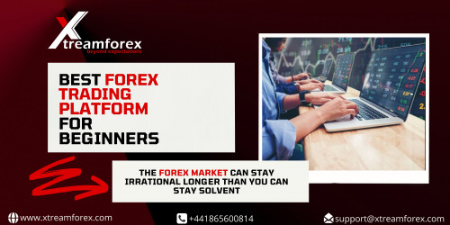 best-forex-trading-platform-for-beginners-banner-1.jpg