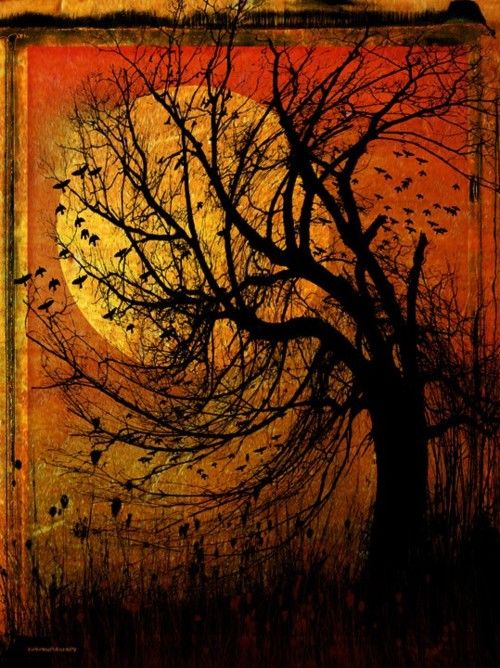 creepy-fall-tree.jpg