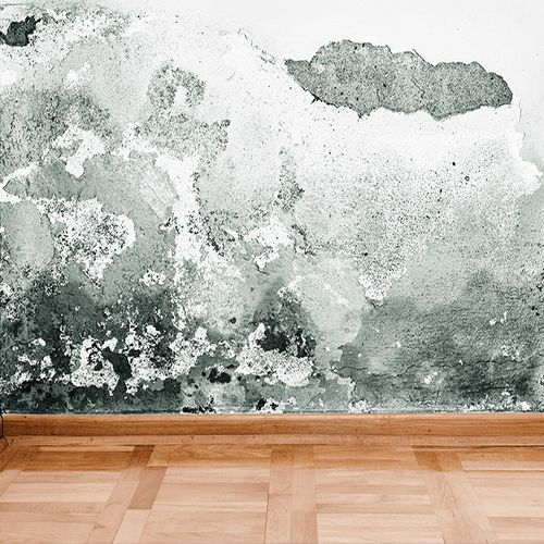 Damp Proofing
