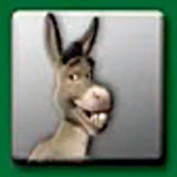 donkey_resized