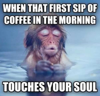 first-sip-of-coffee-monkey.jpg