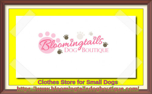 Choose from large collections of small dog clothes like shirts, hoodie, hat, dog diaper and coats at best prices at Bloomingtails Dog Boutique. Shop our great selection of clothes for small dogs with fast shipping and great prices at our online store.
https://www.bloomingtailsdogboutique.com/