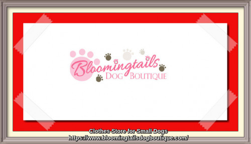 Choose from large collections of small dog clothes like shirts, hoodie, hat, dog diaper and coats at best prices at Bloomingtails Dog Boutique. Shop our great selection of clothes for small dogs with fast shipping and great prices at our online store.
https://www.bloomingtailsdogboutique.com/