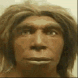 neandmagnon