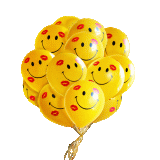 pallonciniho7ifzzo91p