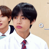 runbts113-3
