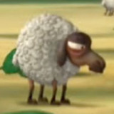 sheepep10_resized