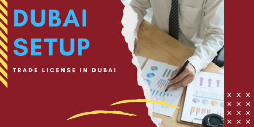 To get your Business License in Dubai by completing all the necessary legal steps, you can prefer to reach Dubai Setup. The agency has years of experience in this domain and has assisted numerous people with setting up their businesses.
https://dubaisetup.info/trade-license-applications/